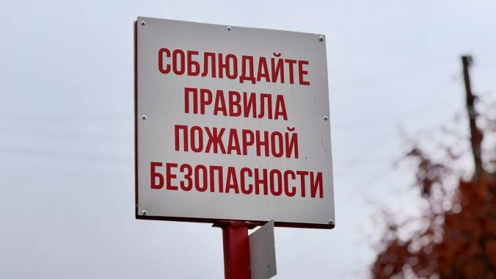 Как не сжечь дом на Новый год: советы спасателей для саратовцев