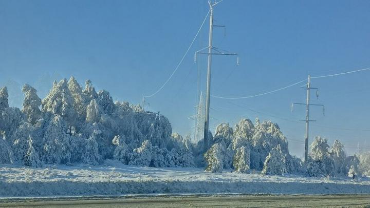 Сказочный лес с обледенелыми деревьями заметили в  Саратовской области