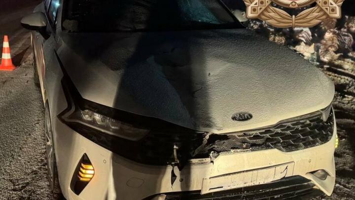 Пешеход погиб под колесами иномарки в Марксовском районе