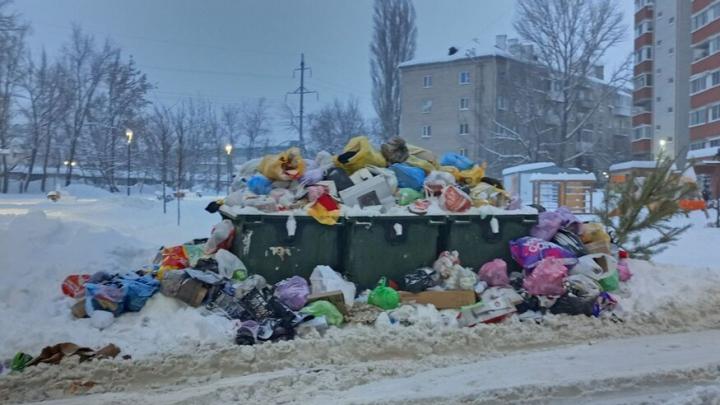Кучи отходов на контейнерных площадках: Бусаргин потребовал от регоператора работать круглосуточно