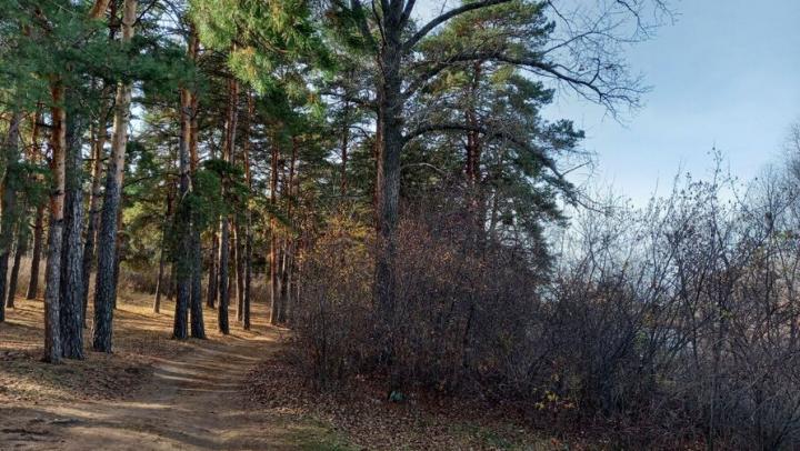 «Лукоморье» и «Яблоневый сад»: саратовские фермеры превращают хозяйства в места для отдыха