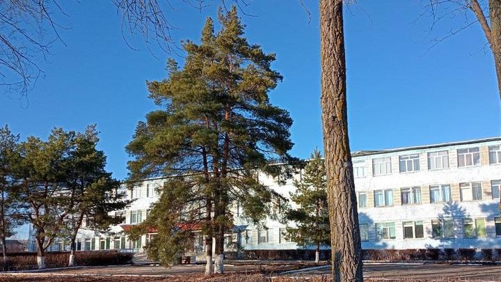 Морозы крепчают: в Саратовской области ученики нескольких районов не пойдут в школу