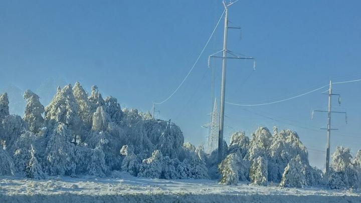 Ледяная сказка и трескучий мороз: какая погода ждет саратовцев сегодня