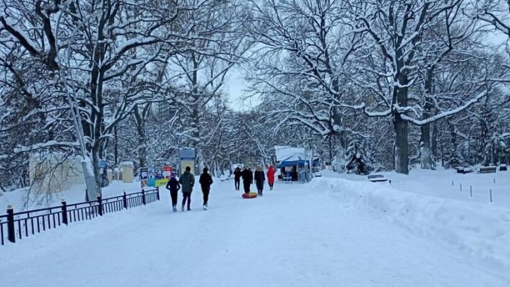 Городской парк Саратова добавлен в план благоустройства на этот год
