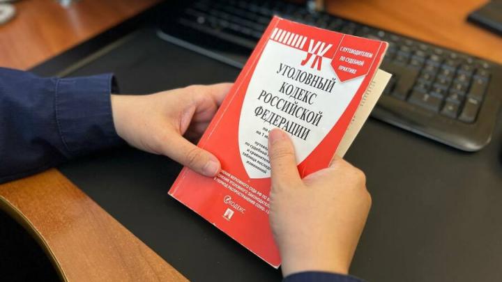 Преступления ОПГ в Саратовской области сократились на четверть в 2025 году