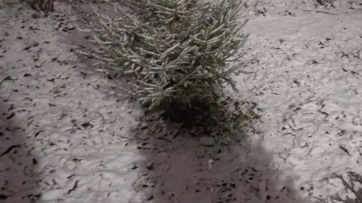 В Саратовской области прогнозируется облачная погода и снег