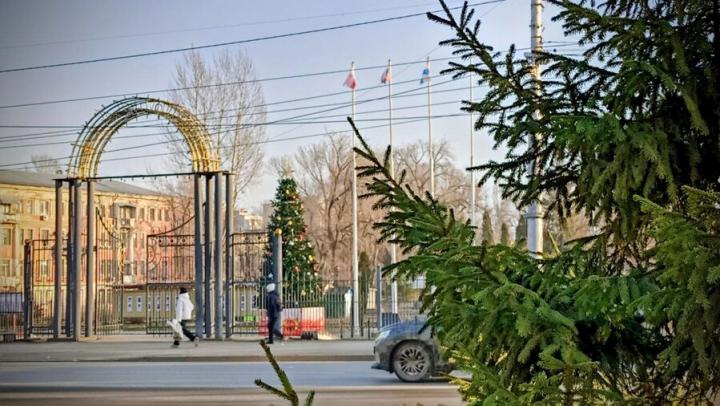 В Заводском районе Саратова обновят сквер «Дружбы Народов»