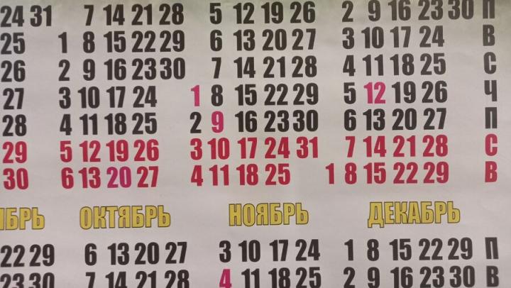Три дня или целая неделя? Как саратовцы планируют провести праздничные выходные