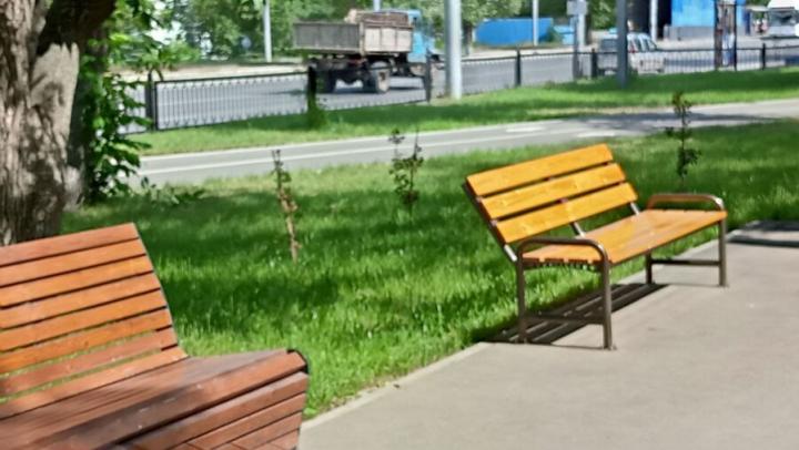 От Детского парка до Большой Горной: каким станет обновленный бульвар в центре Саратова