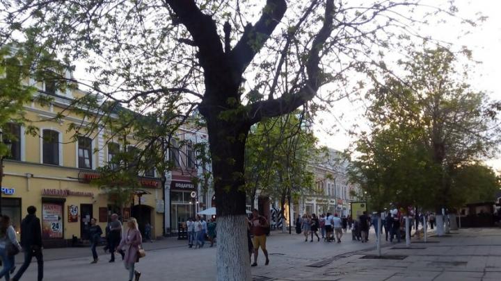 В Саратове разработают проект сноса трех аварийных домов 1917 года в центре города