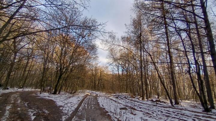 В Саратове снова потеплеет до +7 градусов