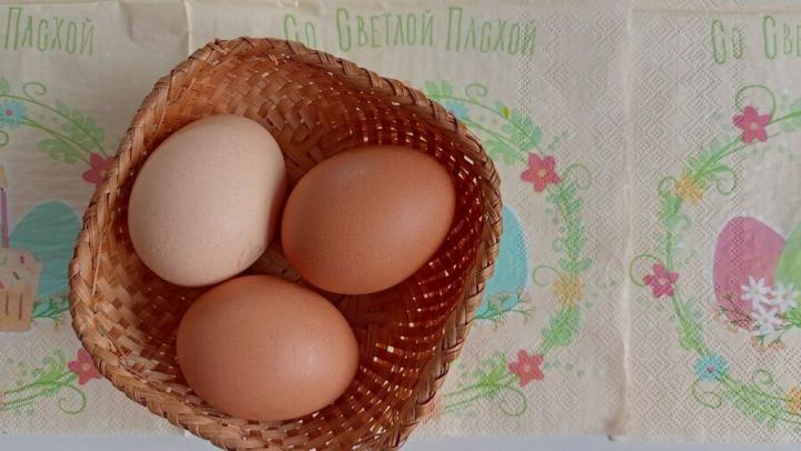 Яйца дорожают, огурцы дешевеют в Саратовской области