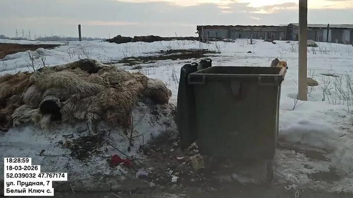 Жителей Саратовской области напугала странная находка на свалке