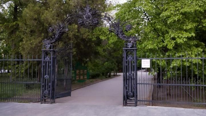 В саратовском парке появились говорящие деревья