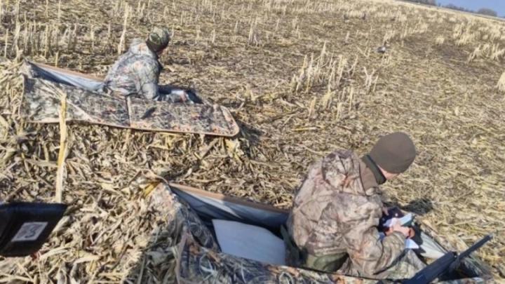 За две недели охоты в Саратовской области поймали 109 нарушителей
