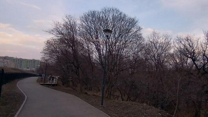 В Саратове ожидается туман, гололедица и сильный ветер