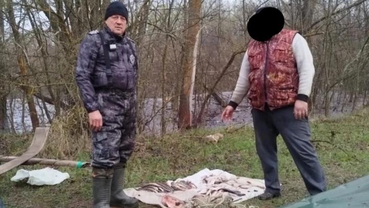 За две недели Рыбоохрана выявила в Саратовской области 102 нарушения