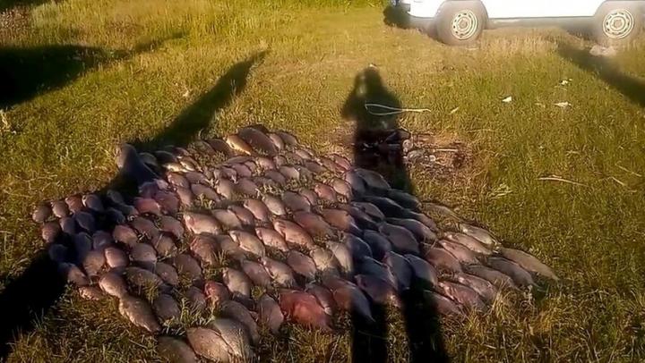Под Саратовом поймали браконьеров с 129 кг рыбы