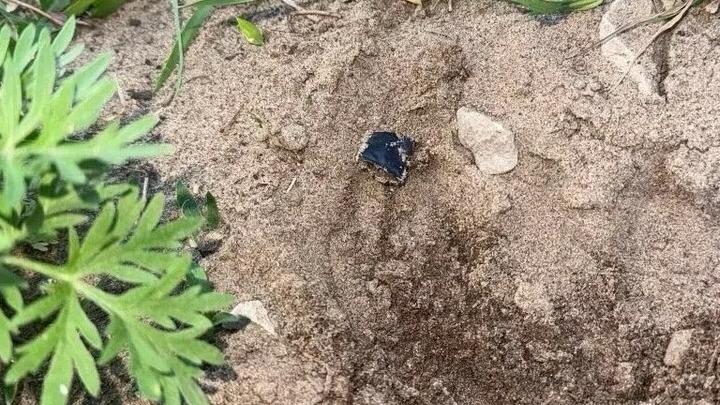 В Саратове у юного закладчика нашли 10 свертков с наркотиками