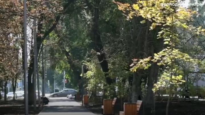 В Саратове планируют соединить набережную и Глебучев овраг новым парком