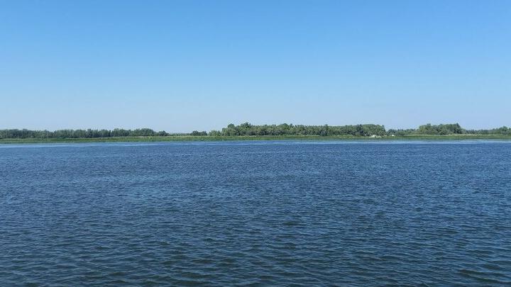 Саратовский врач назвала главные причины гибели людей на воде