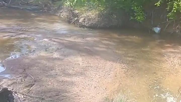 Энгельсские дачники бьют тревогу из-за обмеления Сухой Саратовки