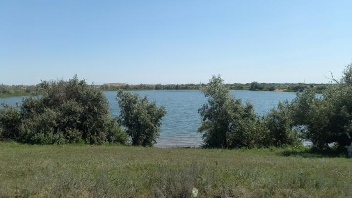 В Заволжье Саратовской области начали заполнять пруды: куда направят 8 млн кубометров воды