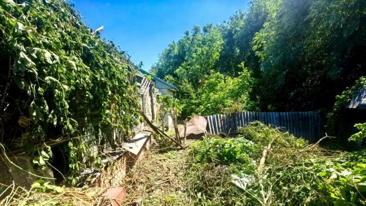 Саратовец убирал траву на соседском участке и обжег ноги