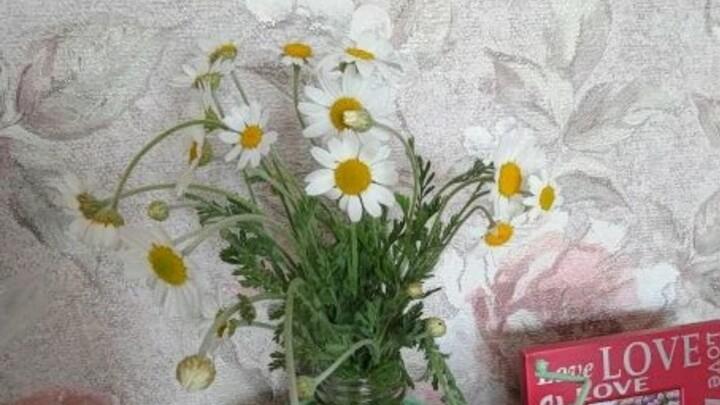 Телебашня в Саратове включит праздничную подсветку в День семьи, любви и верности