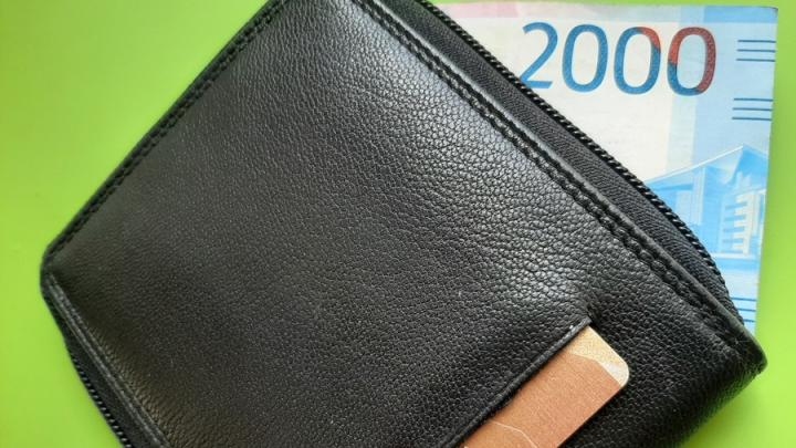 Не только IT: работники этих сфер в Саратовской области получили самый мощный рост доходов