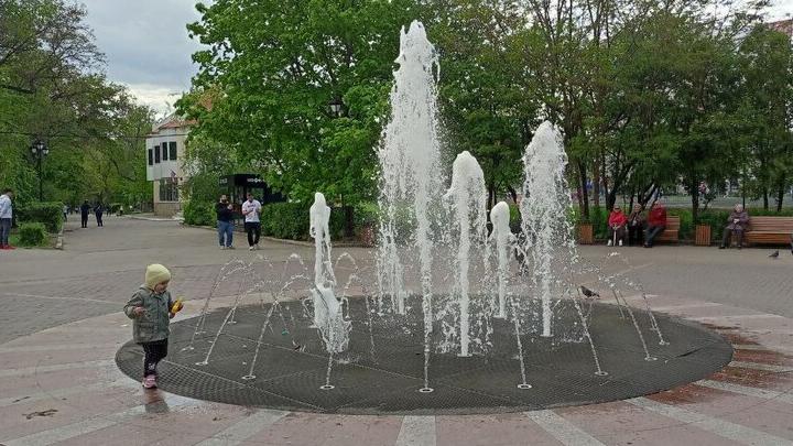К юбилею в Детском парке Саратова заменят погибшие деревья и починят баскетбольную площадку