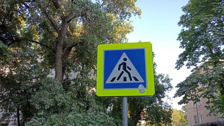 В Энгельсе у пешеходных переходов появились необычные «школьники»