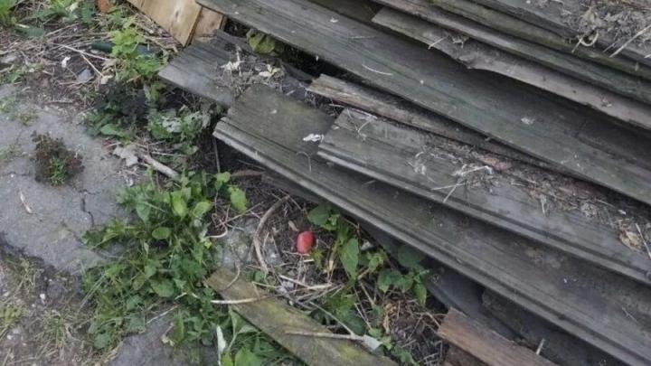 В Саратове задержали ранее судимого закладчика с партией мефедрона