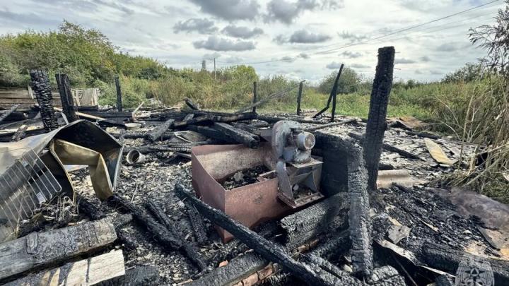 Огонь уничтожил сарай и животных: подробности пожаров в Саратовской области