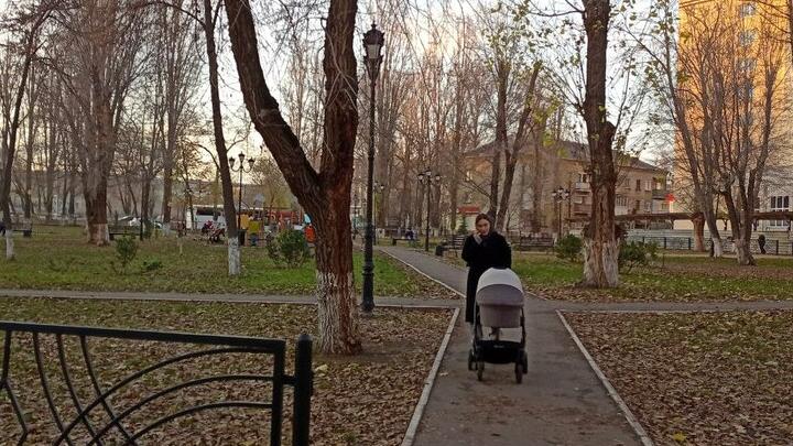 Саратовские семьи с двумя детьми смогут вернуть НДФЛ за 2025 год