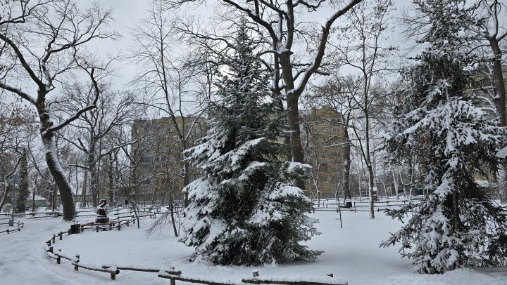 Леденящий ужас: Саратовскую область ждёт арктический кошмар