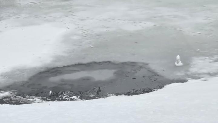 В Саратове пройдёт зимний турнир по ловле рыбы со льда