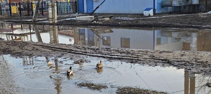 В Саратове появилось своё озеро: жители Ленинского района обнаружили водную гладь вместо тротуаров