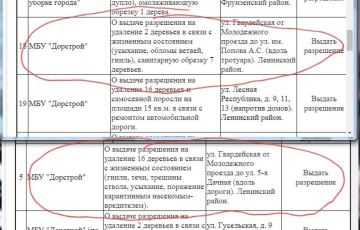 Зелёный беспредел в Саратове: кто ответит за вырубку 50 деревьев