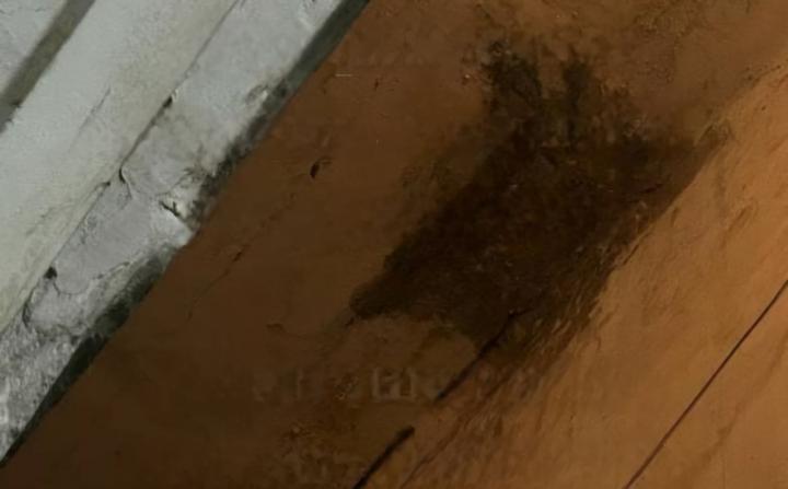 В Саратове десятилетиями не могут расселить аварийный дом с дырявой крышей и грибком