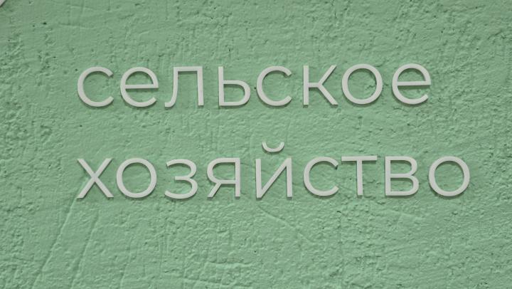 Весенне-полевые работы в Саратовской области: посевная площадь сократилась
