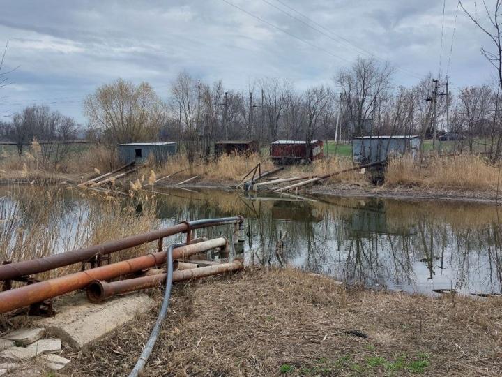 Жители Энгельсского района обеспокоены высыхающим прудом