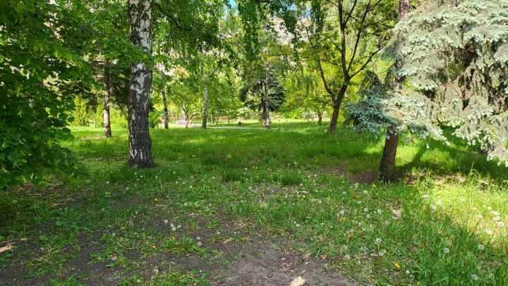 В Энгельсе создадут спецуправление для парков и скверов