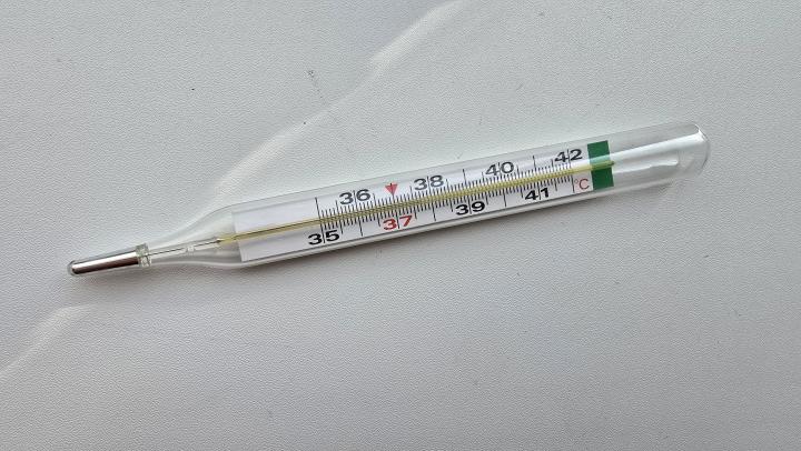Саратовская область в зоне риска по лихорадке Западного Нила: как защититься