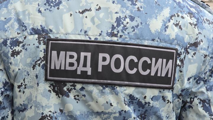 В Энгельсе задержали подпольного коноплевода: изъято свыше шести килограммов растений