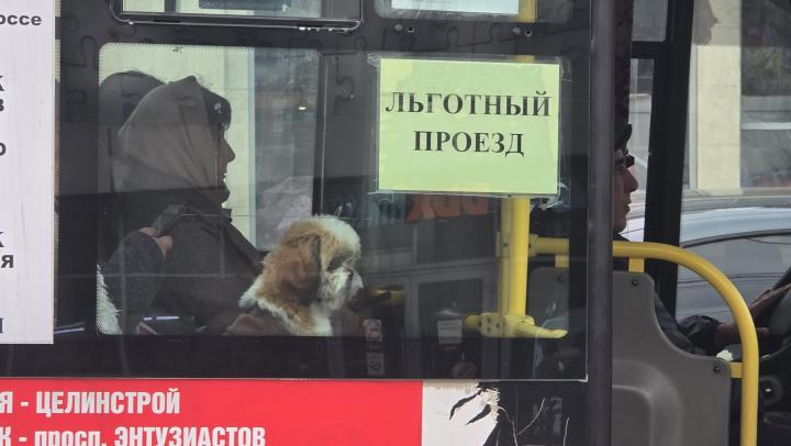  В Саратовской области стартовало пополнение льготных транспортных карт на январь