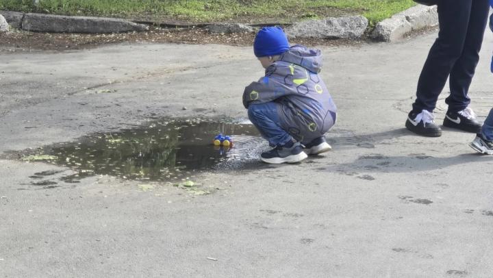 В Саратовской области ожидается переменчивая погода с дождями, туманом и усилением ветра