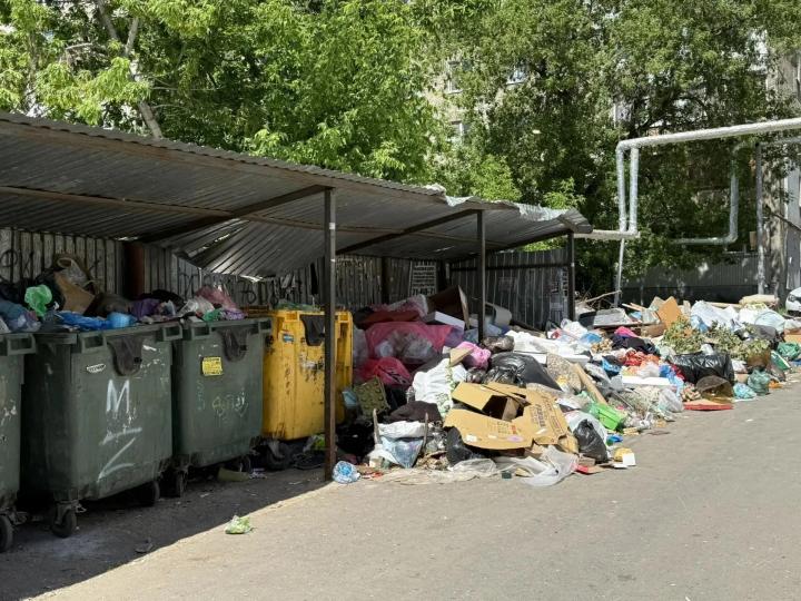 Антисанитария у домов: в Саратове проверили вывоз мусора и выявили серьезные проблемы
