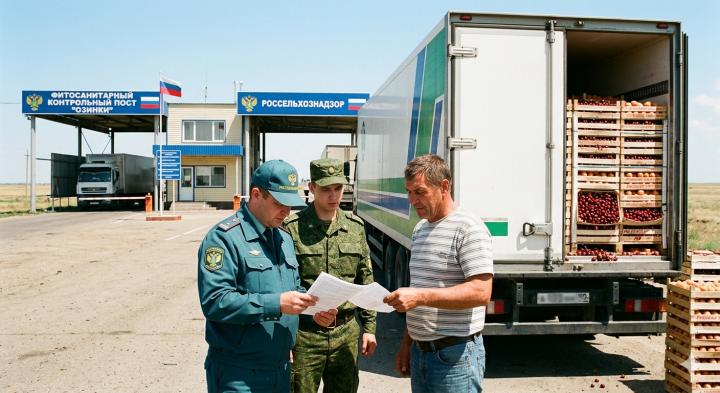 Развернули на границе: под Саратовом задержали почти 20 тонн черешни, абрикосов и персиков из Киргизии